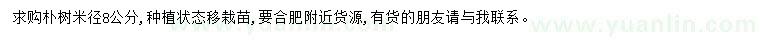 求購米徑8公分樸樹