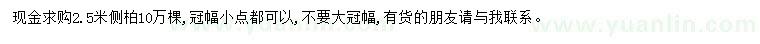 求購2.5米側(cè)柏