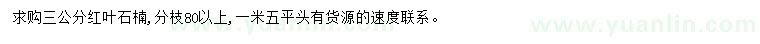 求購(gòu)3公分紅葉石楠