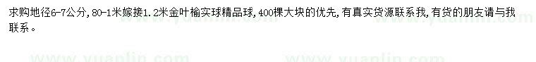 求購地徑6-7公分金葉榆球