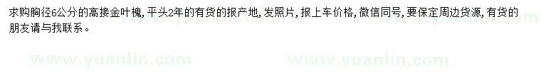 求購(gòu)胸徑6公分高接金葉槐