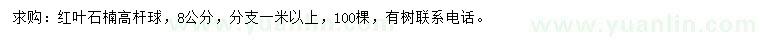 求購8公分紅葉石楠球