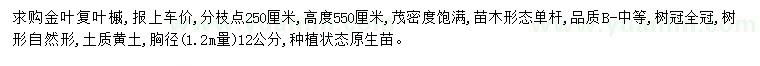 求購胸徑12公分金葉復(fù)葉槭