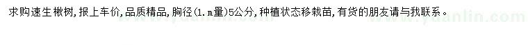 求購胸徑5-5公分速生楸樹