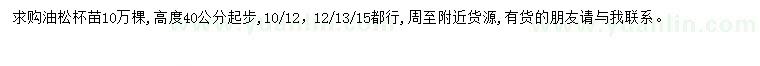 求購高40公分以上油松