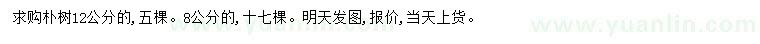 求購8、12公分樸樹