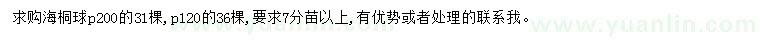 求購冠幅120、200公分海桐球