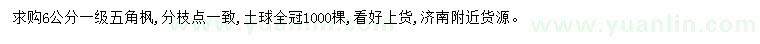 求購6公分五角楓