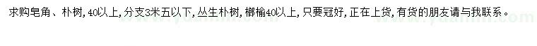 求購皂角、樸樹、叢生樸樹等