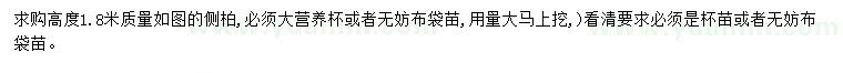 求購高1.8米側(cè)柏