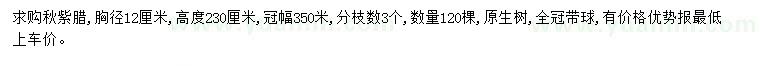 求購胸徑12公分秋紫臘