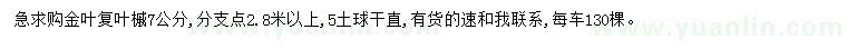 求購7公分金葉復(fù)葉槭