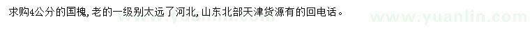 求購4公分國槐