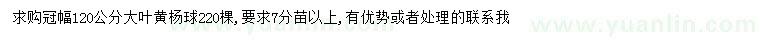 求購(gòu)冠幅120公分大葉黃楊球