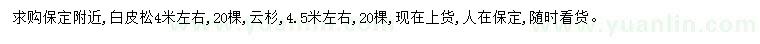 求購(gòu)4、4.5米白皮松