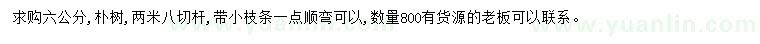 求購6公分樸樹