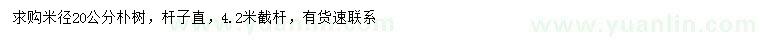 求購(gòu)米徑20公分樸樹(shù)