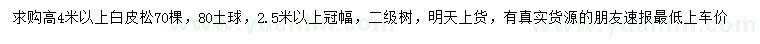 求購(gòu)高4米以上白皮松