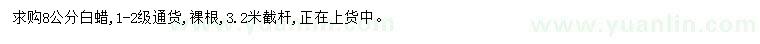 求購(gòu)8公分白蠟