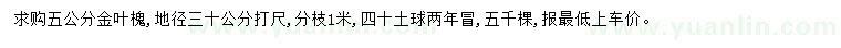 求購30公分打尺5公分金葉槐