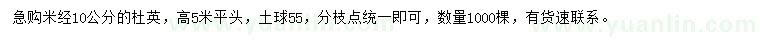 求購米徑10公分杜英