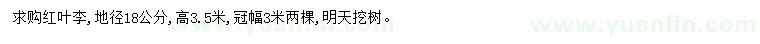 求購地徑18公分紅葉李