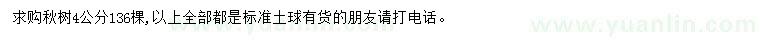 求購4公分楸樹