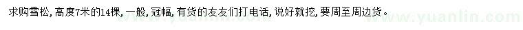 求購高7米雪松