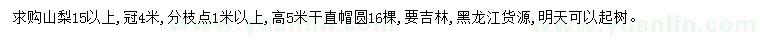 求購(gòu)15公分以上山梨