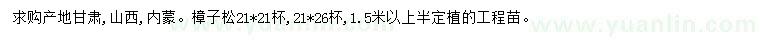 求購(gòu)1.5米以上樟子松