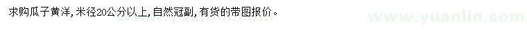 求購(gòu)米徑20公分以上瓜子黃楊