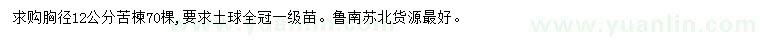 求購胸徑12公分苦楝