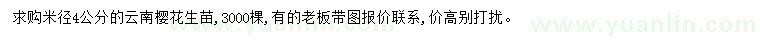 求購(gòu)米徑4公分云南櫻花