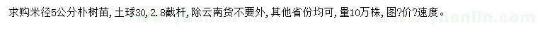 求購米徑5公分樸樹