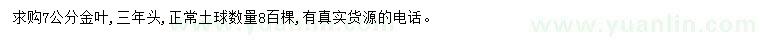 求購7公分金葉榆