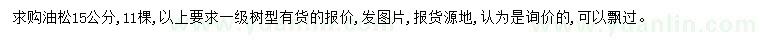 求購15公分油松