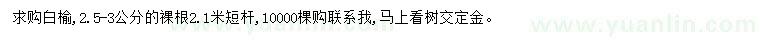 求購2.5-3公分白榆