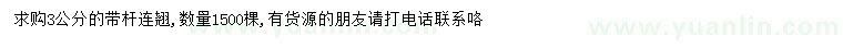 求購3公分連翹