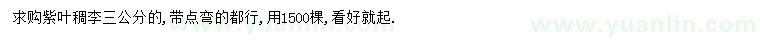 求購(gòu)3公分紫葉稠李
