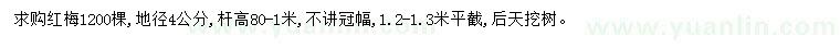 求購地徑4公分紅梅