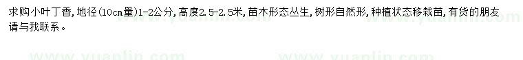 求購(gòu)地徑1-2公分小葉丁香