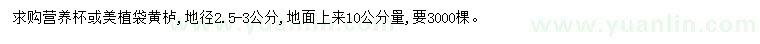 求購地徑2.5-3公分黃櫨