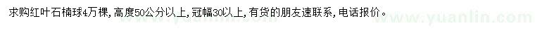 求購冠幅30公分以上紅葉石楠球