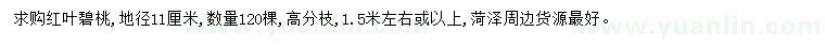 求購(gòu)地徑11公分紅葉碧桃