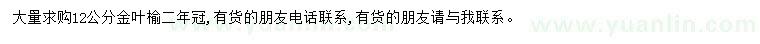 求購12公分金葉榆