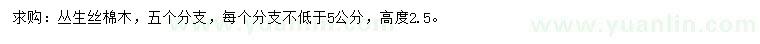 求購高2.5米叢生絲棉木