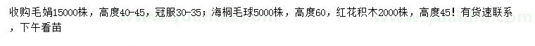 求購(gòu)毛鵑、海桐球、紅花繼木