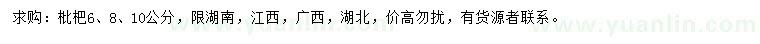 求購6、8、10公分枇杷