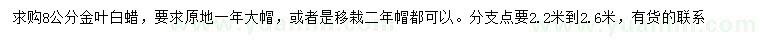 求購8公分金葉白蠟