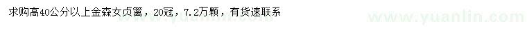 求購高40公分以上金森女貞籬